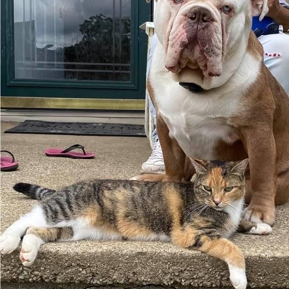 Meet your Posher, Katie - Picture 5 of 9